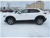 2021 Mazda CX-30 GS (Stk: F08042) in Prince Albert - Image 7 of 15