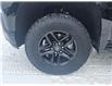 2020 Chevrolet Silverado 1500 Silverado Custom Trail Boss (Stk: N240936A1) in Stony Plain - Image 5 of 42