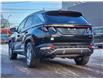 2024 Hyundai Tucson Trend (Stk: TL3668) in Charlottetown - Image 6 of 10