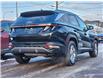 2024 Hyundai Tucson Trend (Stk: TL3668) in Charlottetown - Image 8 of 10