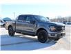 2025 Ford F-150 XLT (Stk: LT252) in Harrow - Image 3 of 20
