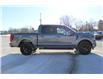 2025 Ford F-150 XLT (Stk: LT252) in Harrow - Image 4 of 20