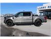 2025 Ford F-150 XLT (Stk: LT252) in Harrow - Image 8 of 20