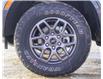 2024 Ford Ranger XLT (Stk: FT248896) in Dawson Creek - Image 6 of 14