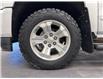 2017 Chevrolet Silverado 1500 1LZ (Stk: 14080) in Lethbridge - Image 16 of 17