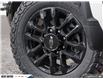 2025 Chevrolet Silverado 2500HD LT (Stk: 161795) in Goderich - Image 8 of 23
