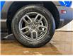 2025 Ford Bronco Sport Big Bend (Stk: 25BR4) in St.Paul - Image 10 of 10