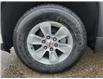 2025 GMC Sierra 1500 Pro (Stk: G225160) in Newmarket - Image 9 of 20