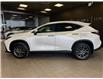 2024 Lexus NX 350h Base (Stk: 25273L) in Toronto - Image 5 of 11