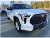 2025 Toyota Tundra SR (Stk: 25035) in Port Alberni - Image 7 of 14