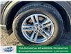 2024 Ford Explorer XLT (Stk: PR11757) in Windsor - Image 2 of 32