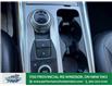 2024 Ford Explorer XLT (Stk: PR11757) in Windsor - Image 27 of 32