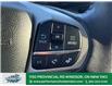 2024 Ford Explorer XLT (Stk: PR11757) in Windsor - Image 29 of 32