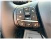 2025 Ford Bronco Sport Big Bend (Stk: 25022) in Claresholm - Image 17 of 22