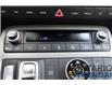 2025 Hyundai Palisade  (Stk: 808169) in Whitby - Image 7 of 31