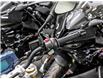 2024 BMW G310R  (Stk: B1352) in Woodbridge - Image 5 of 13