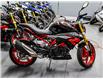 2024 BMW G310R  (Stk: B1355) in Woodbridge - Image 2 of 13
