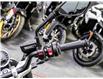 2024 BMW R 12  (Stk: B1360) in Woodbridge - Image 6 of 14