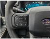 2025 Ford F-150 STX (Stk: TS046) in Kamloops - Image 19 of 29