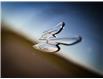 2024 Dodge Hornet PHEV R/T Plus (Stk: RA17862) in Surrey - Image 6 of 21