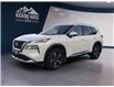2023 Nissan Rogue Platinum (Stk: 11949) in Golden - Image 1 of 17