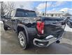 2025 GMC Sierra 3500HD Pro (Stk: T10295) in Cobourg - Image 4 of 10