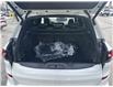 2025 BMW X5 xDrive40i (Stk: BF2513) in Sarnia - Image 21 of 26