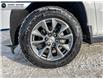 2025 Chevrolet Silverado 1500 LT (Stk: 28321) in Parry Sound - Image 9 of 26