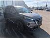 2025 Nissan Rogue Platinum (Stk: 25022) in Sarnia - Image 9 of 14