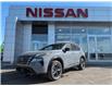 2025 Nissan Rogue Platinum (Stk: 25033) in Sarnia - Image 1 of 14