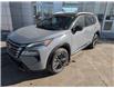 2025 Nissan Rogue Platinum (Stk: 25033) in Sarnia - Image 3 of 14