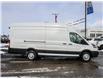 2023 Ford Transit-250 Cargo Base (Stk: P23399) in Toronto - Image 4 of 20