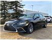 2025 Lexus ES 300h Base (Stk: 250248) in Calgary - Image 5 of 26