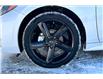 2025 Nissan Sentra SR (Stk: 1050BNN) in Owen Sound - Image 12 of 13