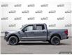 2025 Ford F-150 STX (Stk: 25F1197) in St. Catharines - Image 3 of 24
