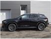 2025 Lexus NX 350 Base (Stk: NX8616) in Windsor - Image 5 of 29