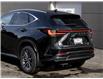 2025 Lexus NX 350 Base (Stk: NX8616) in Windsor - Image 6 of 29
