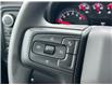 2025 Chevrolet Silverado 1500 Custom Trail Boss (Stk: 100770) in Carleton Place - Image 17 of 20