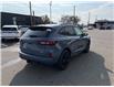 2025 Ford Escape ST-Line Elite (Stk: VFEP00261) in Chatham - Image 4 of 20