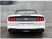2022 Ford Mustang EcoBoost (Stk: 121489) in Langley BC - Image 5 of 25