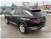 2023 Hyundai Tucson Preferred (Stk: 250031) in Ottawa - Image 5 of 26