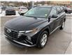 2023 Hyundai Tucson Preferred (Stk: 250031) in Ottawa - Image 7 of 26