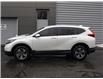 2018 Honda CR-V LX (Stk: TL4822A) in Windsor - Image 5 of 24