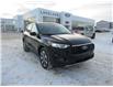 2025 Ford Escape Platinum (Stk: 25-0096) in Prince Albert - Image 3 of 15
