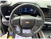 2025 Chevrolet Silverado 1500 High Country (Stk: TS161247) in Caledonia - Image 37 of 64