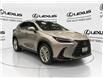 2025 Lexus NX 350  (Stk: 14107880) in Markham - Image 1 of 15