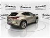 2025 Lexus NX 350  (Stk: 14107880) in Markham - Image 9 of 15