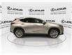 2025 Lexus NX 350  (Stk: 14107880) in Markham - Image 10 of 15