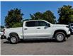 2024 Chevrolet Silverado 1500 Work Truck (Stk: R25518) in Ottawa - Image 3 of 20