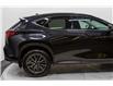 2025 Lexus NX 350h Base (Stk: 049258) in Brampton - Image 5 of 25